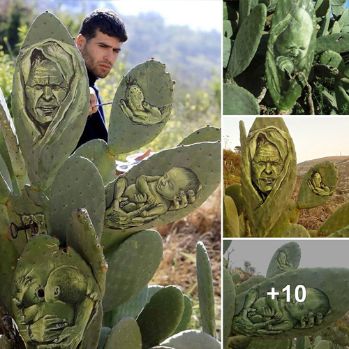 Palestinian artists have been using cacti as a unique and striking canvas for their artwork.
